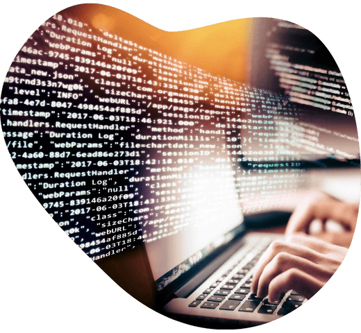 網站客製化方案